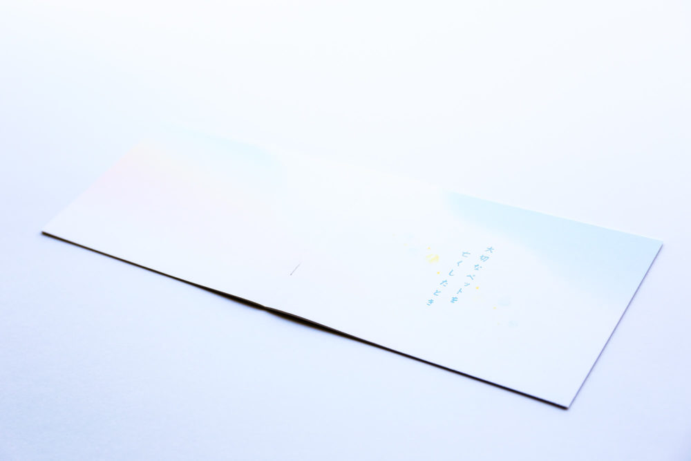 pic-works-GSI-book-pet03