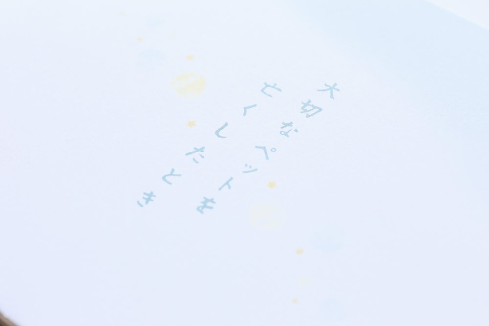 pic-works-GSI-book-pet07