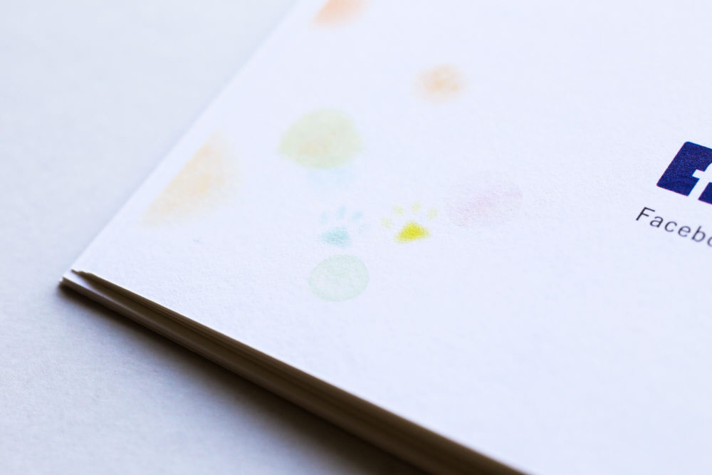 pic-works-GSI-book-pet08